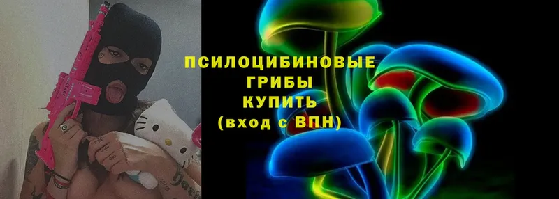 Псилоцибиновые грибы Cubensis  купить закладку  Боровск 